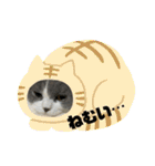 はちくんからメッセージ❣️2（個別スタンプ：31）