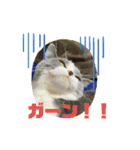 はちくんからメッセージ❣️2（個別スタンプ：32）