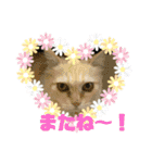 はちくんからメッセージ❣️2（個別スタンプ：39）