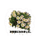 はちくんからメッセージ❣️2（個別スタンプ：40）