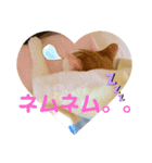 ワイルドアニマルスタンプ（個別スタンプ：4）