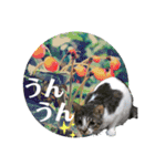 眉毛ねこオル君とゆかいな動物たち（個別スタンプ：4）