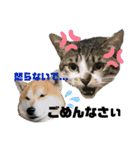 眉毛ねこオル君とゆかいな動物たち（個別スタンプ：15）