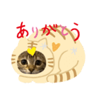 神野律(りっちゃん)スタンプ（個別スタンプ：1）