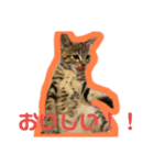 神野律(りっちゃん)スタンプ（個別スタンプ：3）