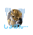 神野律(りっちゃん)スタンプ（個別スタンプ：6）