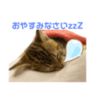 神野律(りっちゃん)スタンプ（個別スタンプ：8）