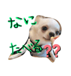 まげちゃんpart2（個別スタンプ：3）