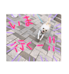 まげちゃんpart2（個別スタンプ：4）