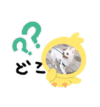 まげちゃんpart2（個別スタンプ：5）