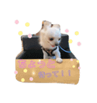まげちゃんpart2（個別スタンプ：6）