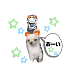 まげちゃんpart2（個別スタンプ：9）