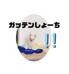 まげちゃんpart2（個別スタンプ：12）