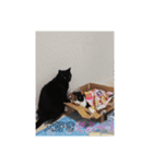 家の猫(犬も)が可愛いすぎる件（個別スタンプ：23）