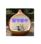 ペコひまスタンプ2（個別スタンプ：2）