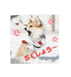 ペコひまスタンプ2（個別スタンプ：7）