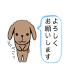 丁寧な対応の犬（個別スタンプ：17）