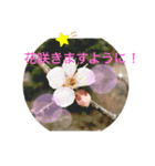 日常の一コマスタンプ（個別スタンプ：7）