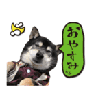 アスカと愉快な仲間達（個別スタンプ：4）