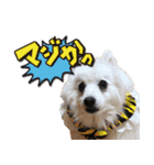 アスカと愉快な仲間達（個別スタンプ：8）
