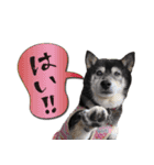 アスカと愉快な仲間達（個別スタンプ：9）