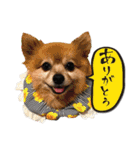 アスカと愉快な仲間達（個別スタンプ：18）