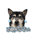 アスカと愉快な仲間達（個別スタンプ：21）