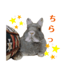 うさぎの姫とハスキーのぽてとの日常2（個別スタンプ：11）