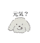 わくわくトイプードル（個別スタンプ：2）