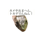 lizard2（個別スタンプ：2）