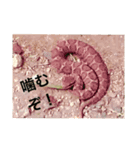 lizard2（個別スタンプ：8）
