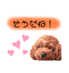 はなこきなこ2（個別スタンプ：5）