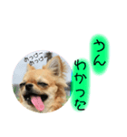 はなこきなこ2（個別スタンプ：6）