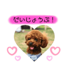 はなこきなこ2（個別スタンプ：7）