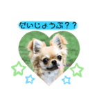 はなこきなこ2（個別スタンプ：8）