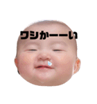 我が家のバブ子（個別スタンプ：24）