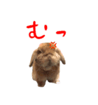 うさぎスタンプーMUC1（個別スタンプ：3）