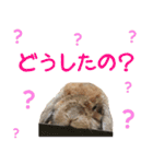うさぎスタンプーMUC1（個別スタンプ：11）