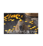 カピバラ天国2467（個別スタンプ：1）