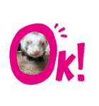 きなこだよ第二弾（個別スタンプ：2）