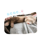 きなこだよ第二弾（個別スタンプ：3）