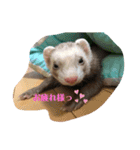 きなこだよ第二弾（個別スタンプ：6）