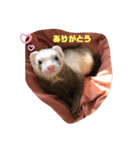 きなこだよ第二弾（個別スタンプ：7）