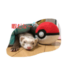 きなこだよ第二弾（個別スタンプ：11）