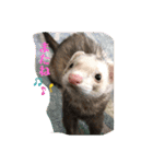 きなこだよ第二弾（個別スタンプ：14）