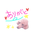 毎日使える☆Alen.（個別スタンプ：3）