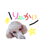 毎日使える☆Alen.（個別スタンプ：4）