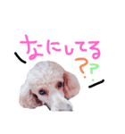 毎日使える☆Alen.（個別スタンプ：5）