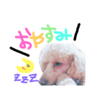 毎日使える☆Alen.（個別スタンプ：7）