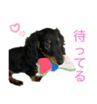 我が家のまめちゃん③（個別スタンプ：11）